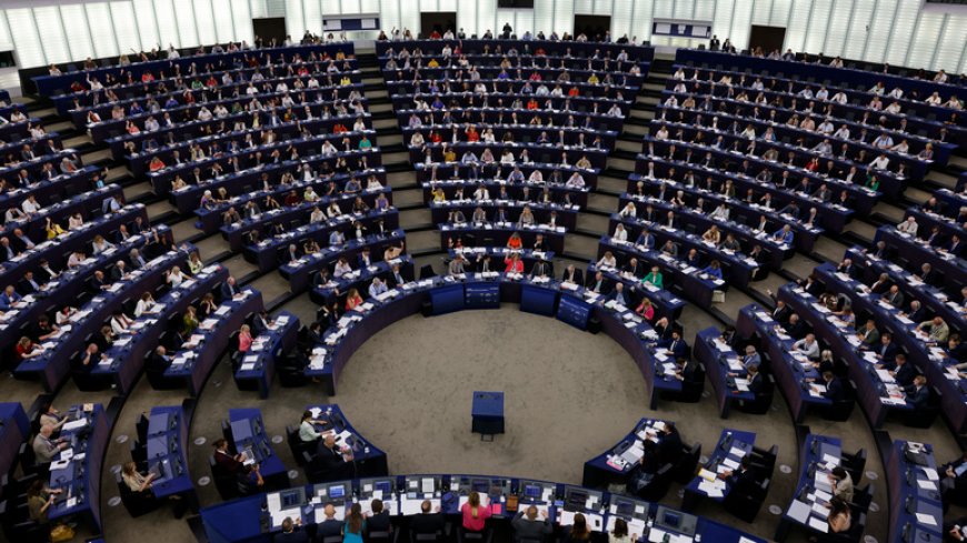 Что происходит за кулисами Европарламента: Унижения, манипуляции и домогательства