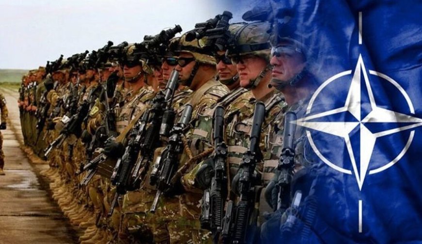 НАТО — великое достижение или ошибка размером с Европу?