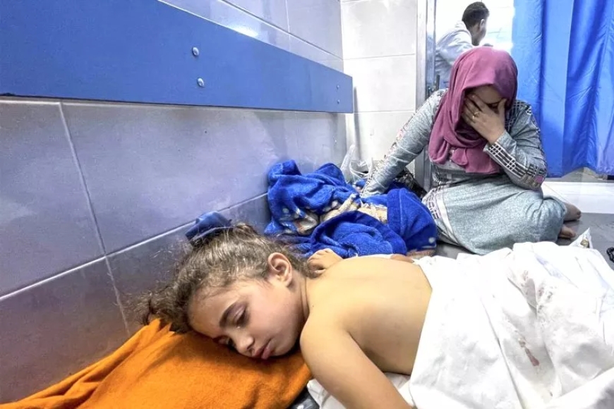 МИД Египта : Израиль препятствует доставке гуманитарной помощи в Газу