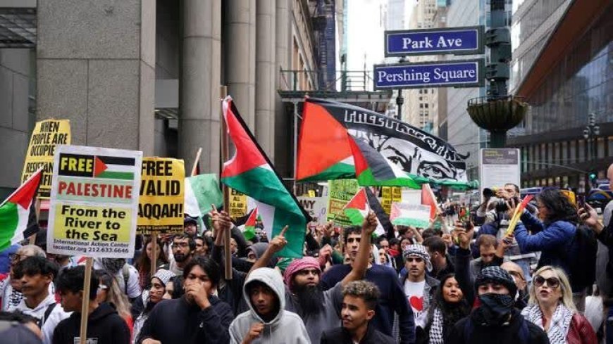 Увеличение митингов в поддержку Палестины в Нью-Йорке