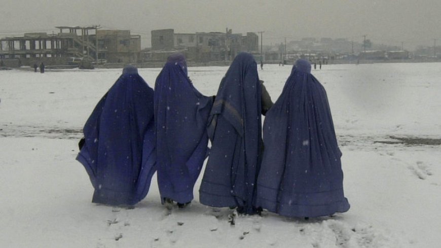Беспокоятся, но к себе не пускают — афганские женщины обвиняют Запад в лицемерии