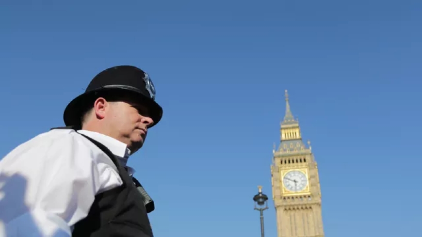 В Лондоне пропалестинские протестующие вступили в стычки в полицией