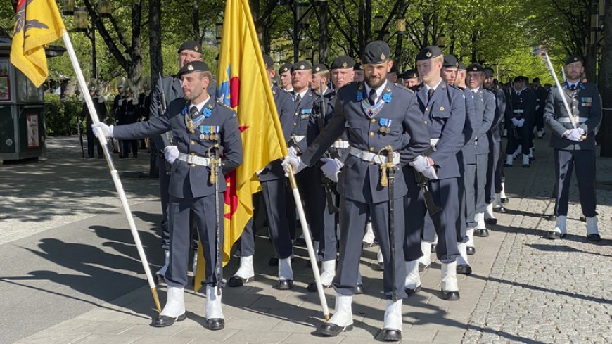 Двое из троих шведов не могут служить в армии по состоянию здоровья