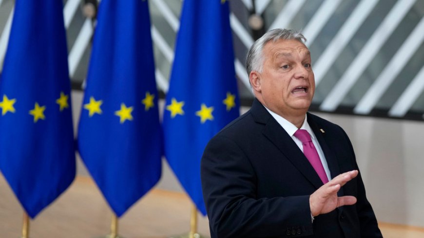 Новый тип евроскептика — вместо того чтобы покидать ЕС, Венгрия намерена формировать блок