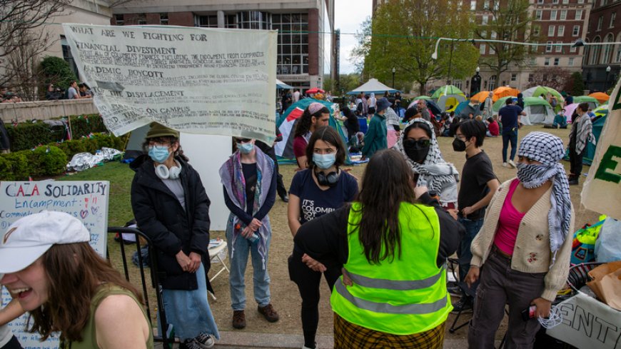 Байдена просят не разгонять антивоенные выступления студентов, чтобы не повторить ошибку времён Вьетнамской войны