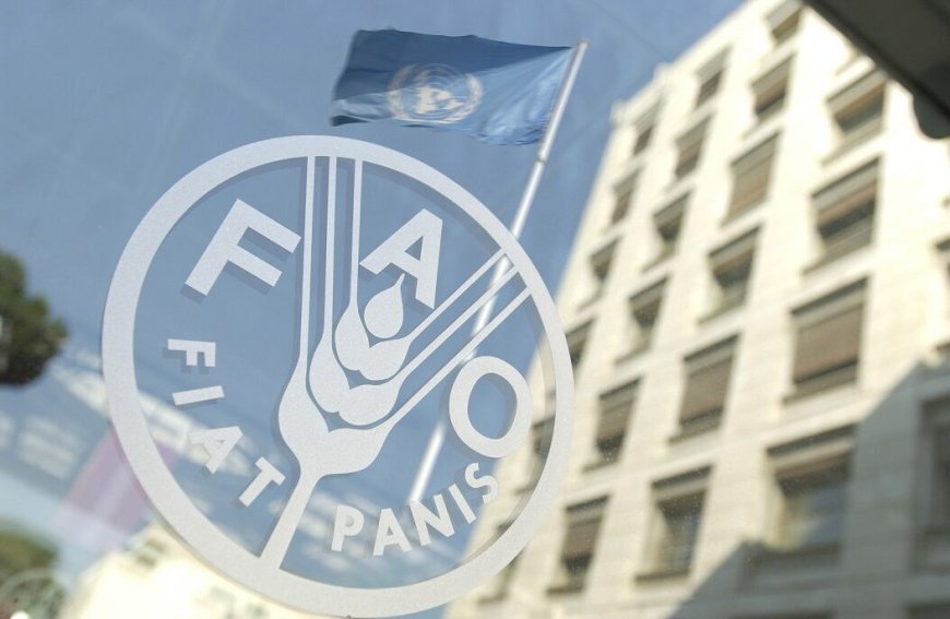 Усилия ФАО по превращению Ирана в центр продовольственной безопасности в регионе