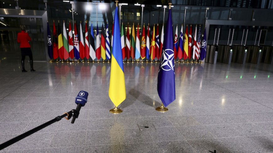 Страны НАТО спорят о том, что обещать Украине на предстоящем саммите