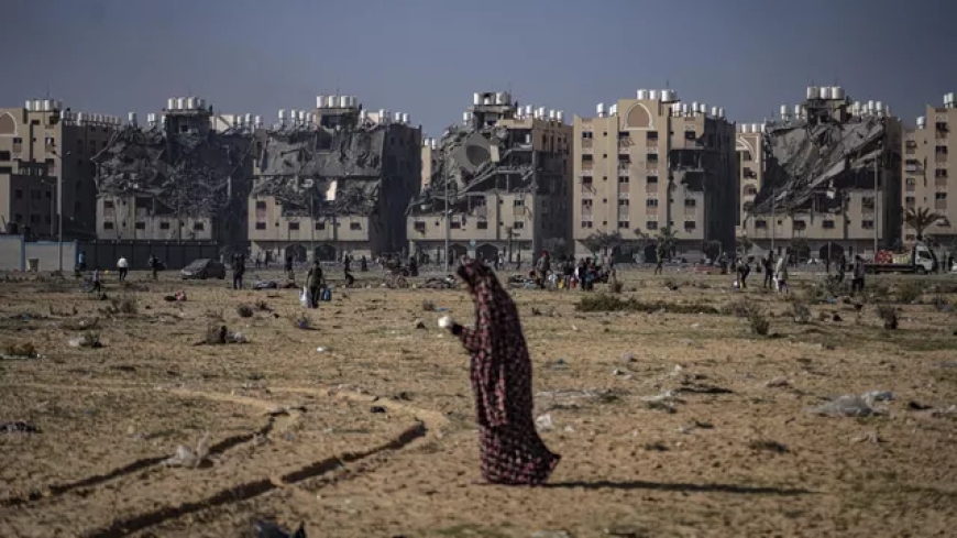 УКГВ ООН: боевые действия повредили около 57% пахотных земель в секторе Газа